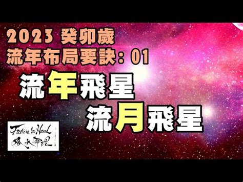 2023流月飛星